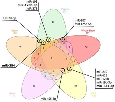 A new perspective on Alzheimer’s disease: microRNAs and circular RNAs